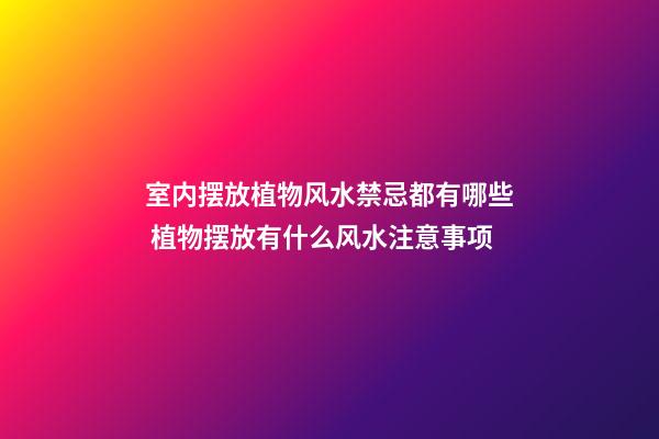 室内摆放植物风水禁忌都有哪些 植物摆放有什么风水注意事项